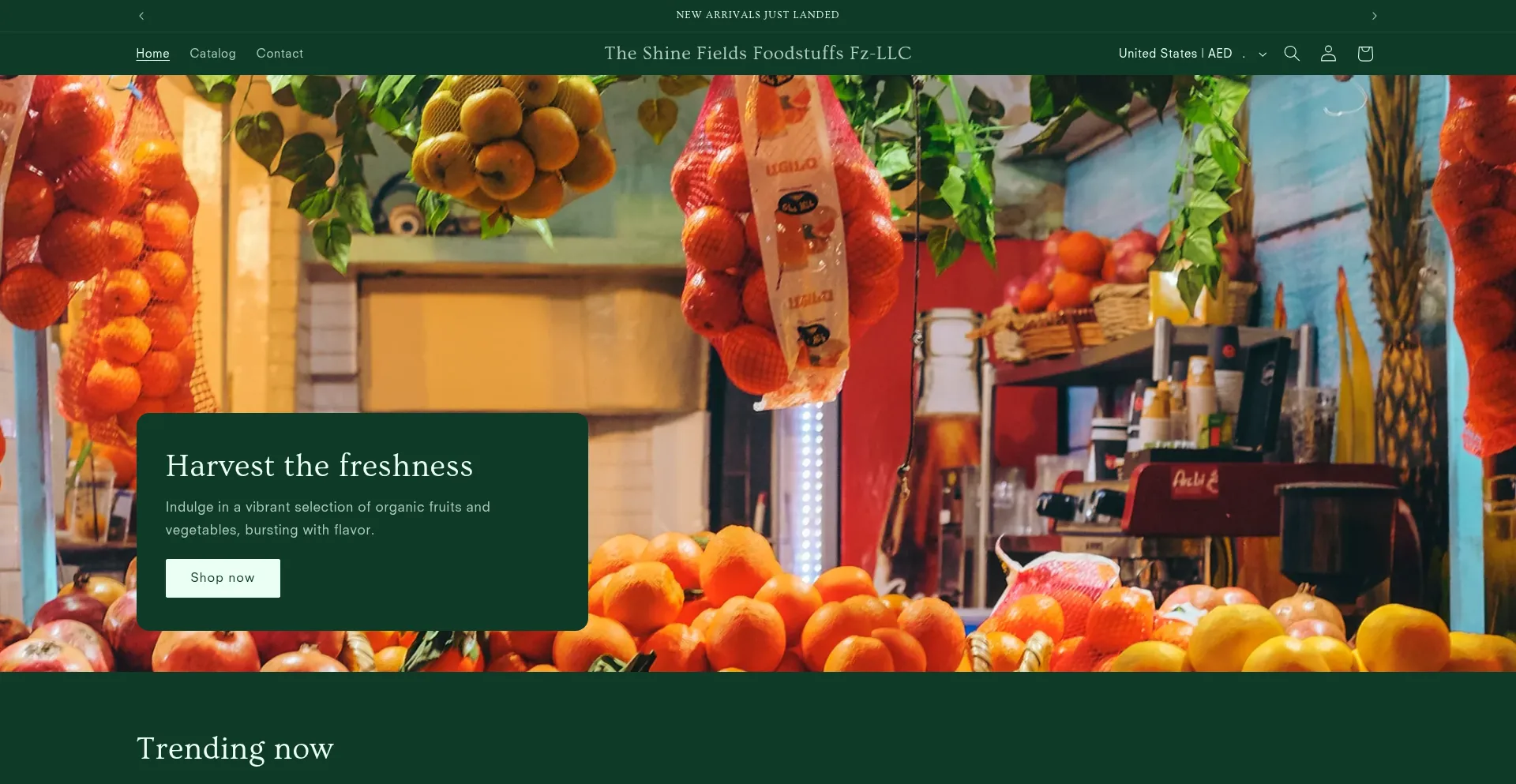 Website screenshot of Theshinefieldsfzllc.com