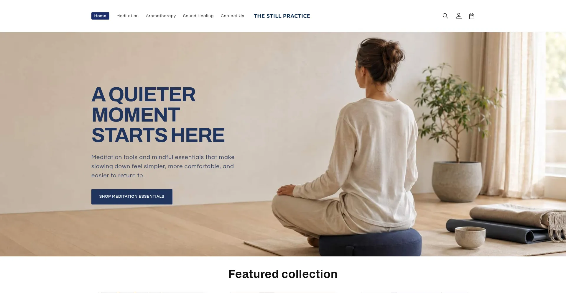 Thestillpractice.com