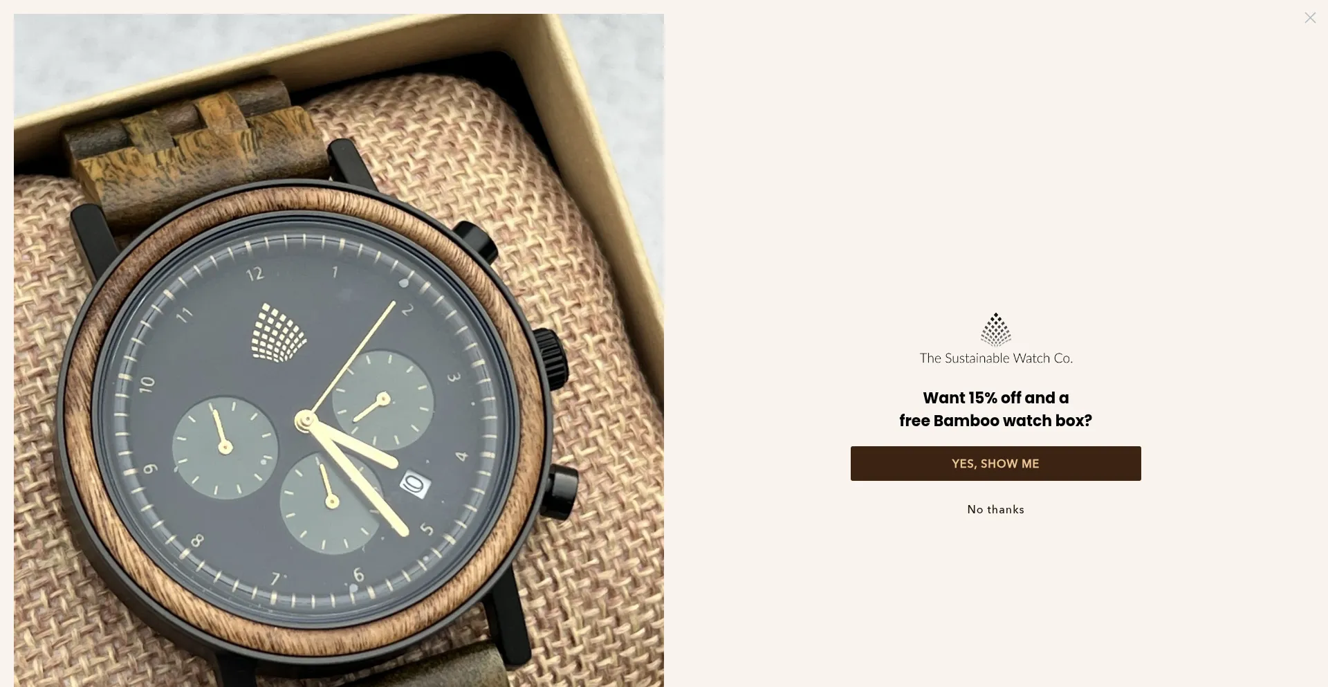 Thesustainablewatchcompany.com