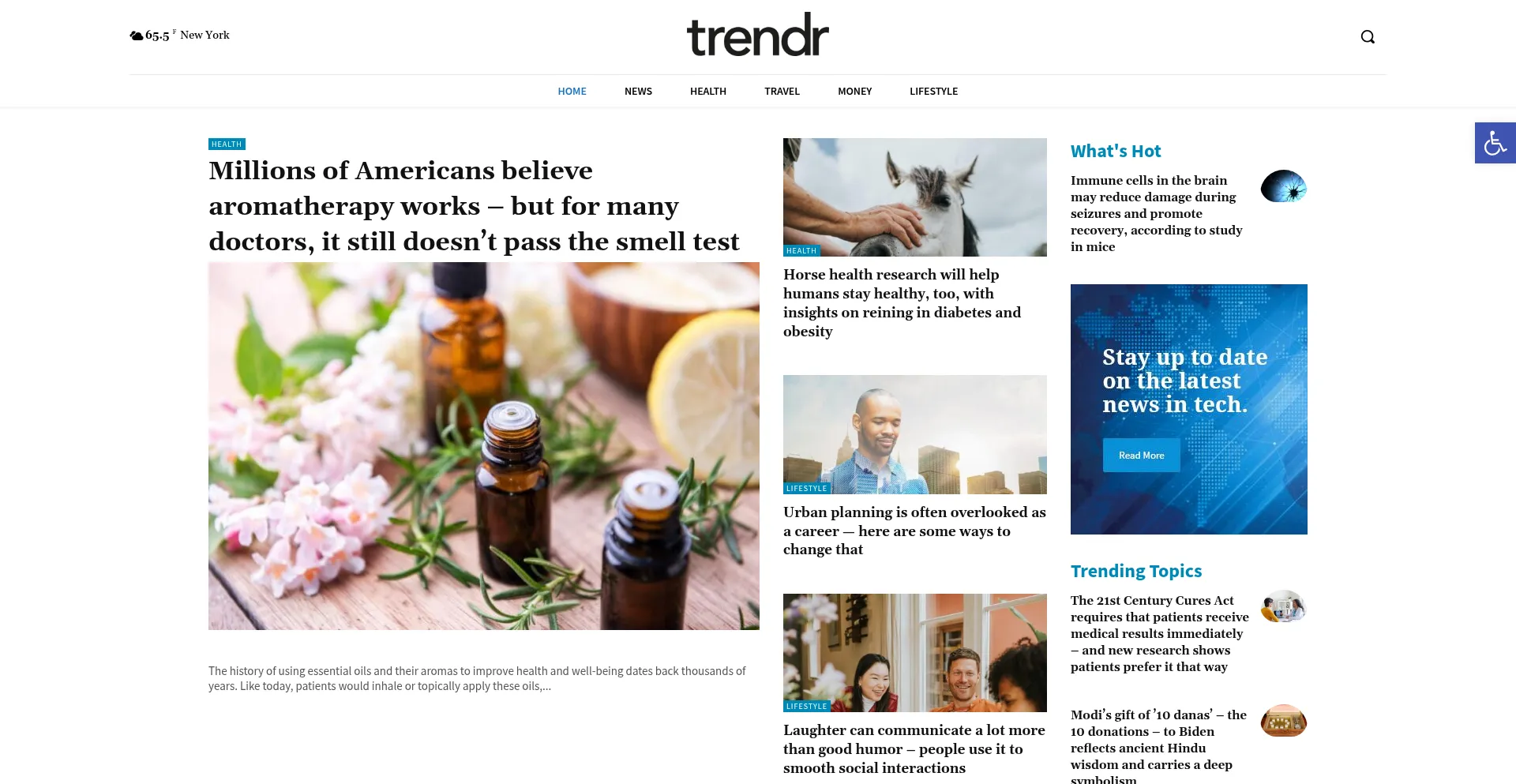 ¿És Seguro y Confiable Thetrendrguide.com?
