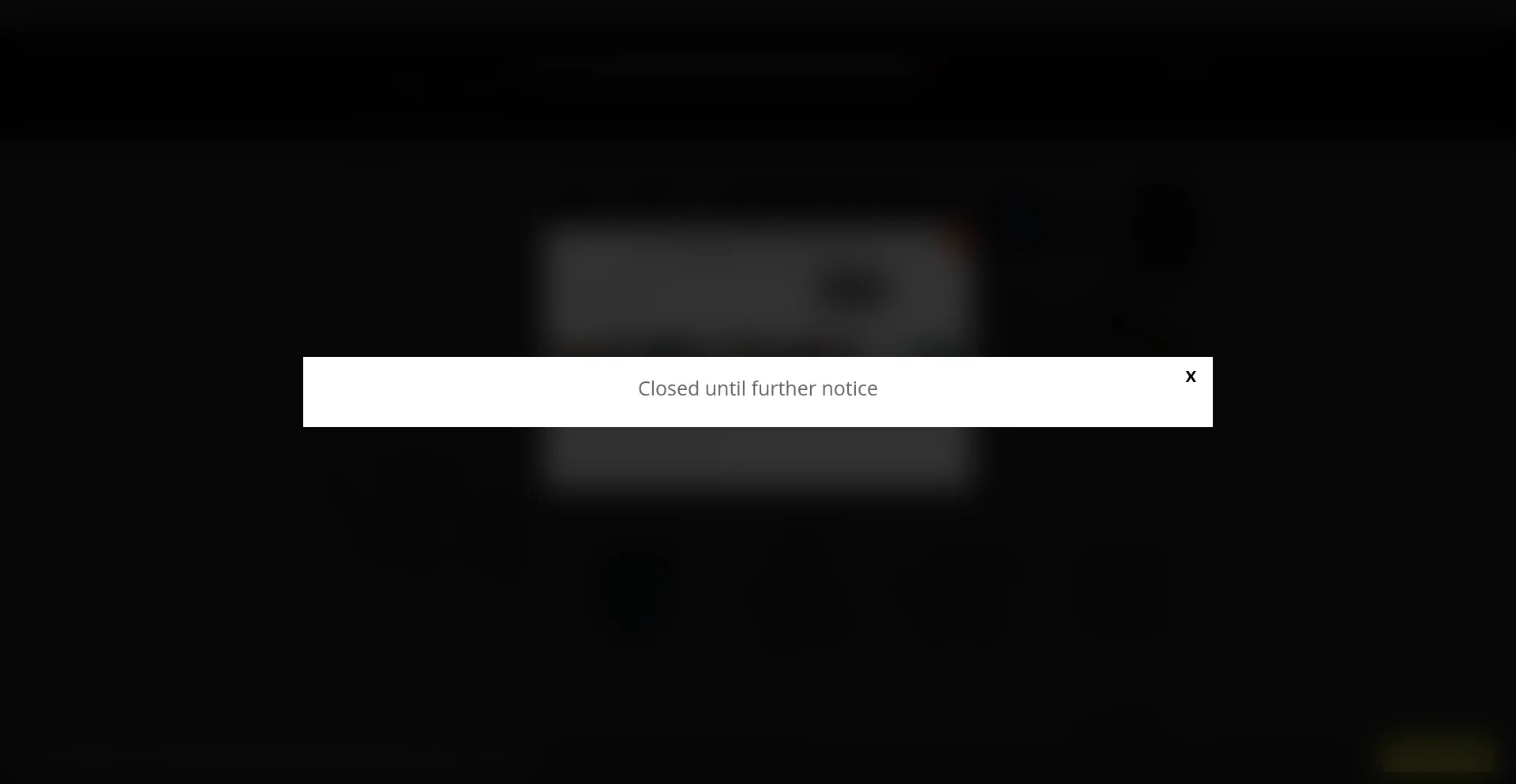 Website screenshot of Thevirtualtouch.com