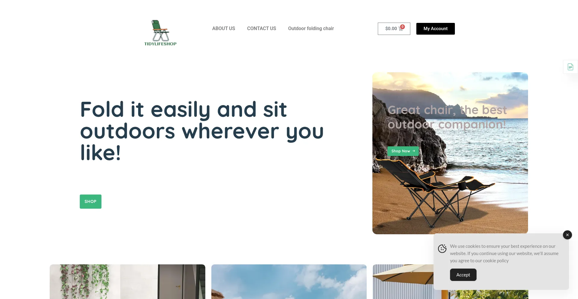 Website screenshot of Tidylifeshop.com