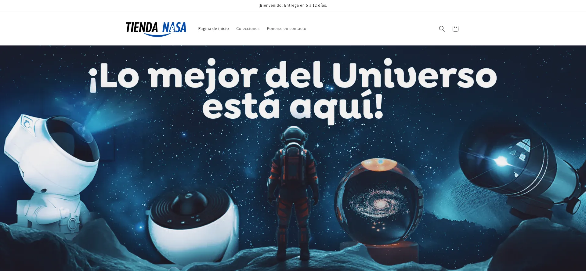 Website screenshot of Tiendanasa.com