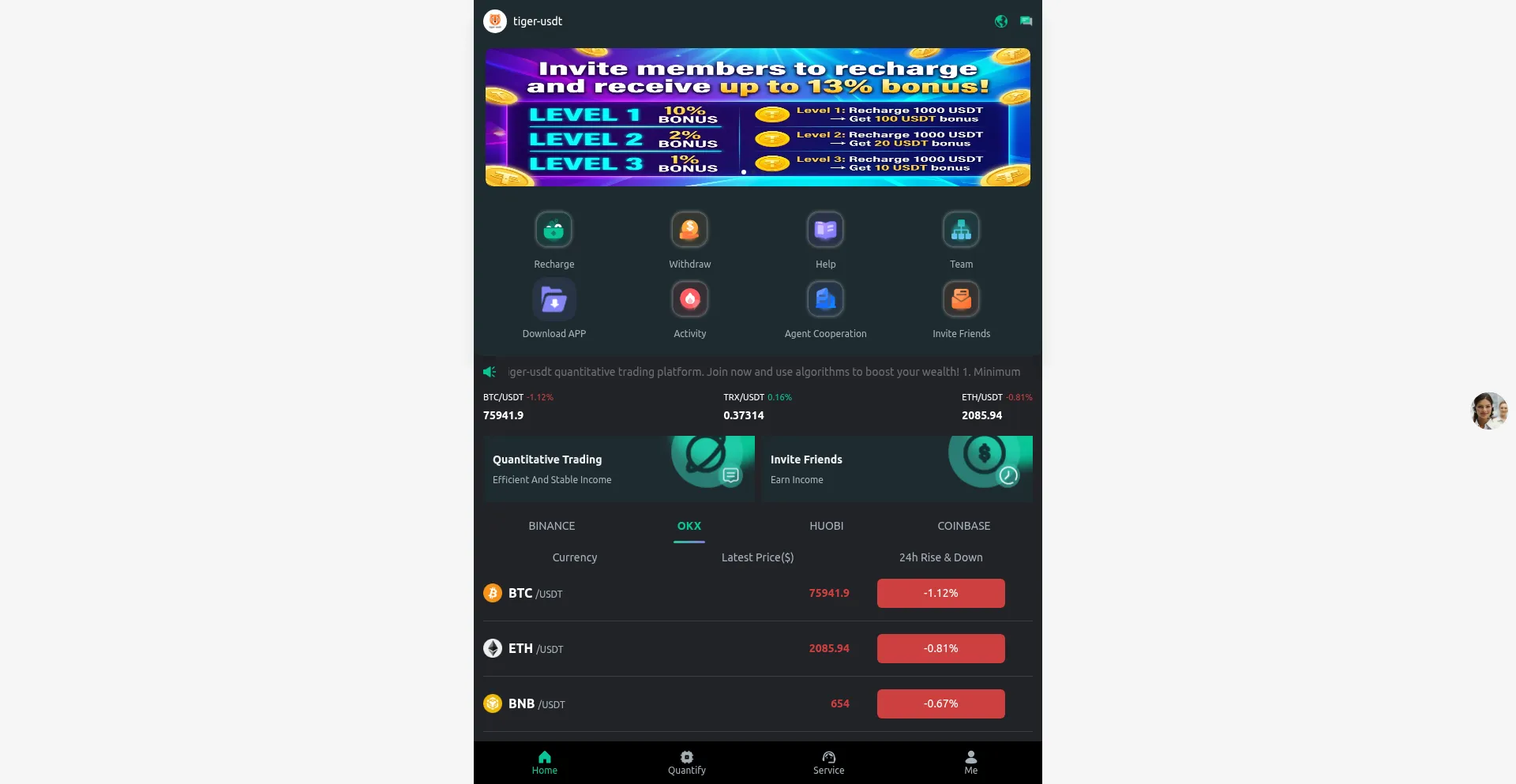 Tiger-aiusdt.shop