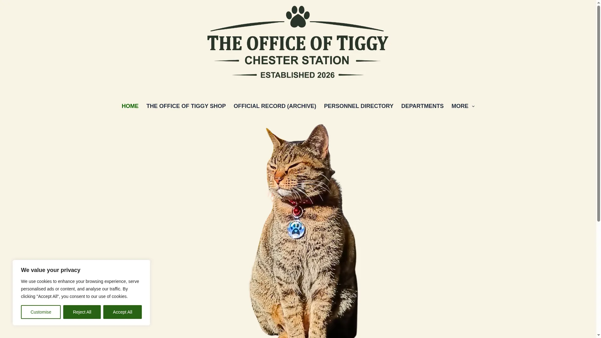 Tiggythecat.co.uk