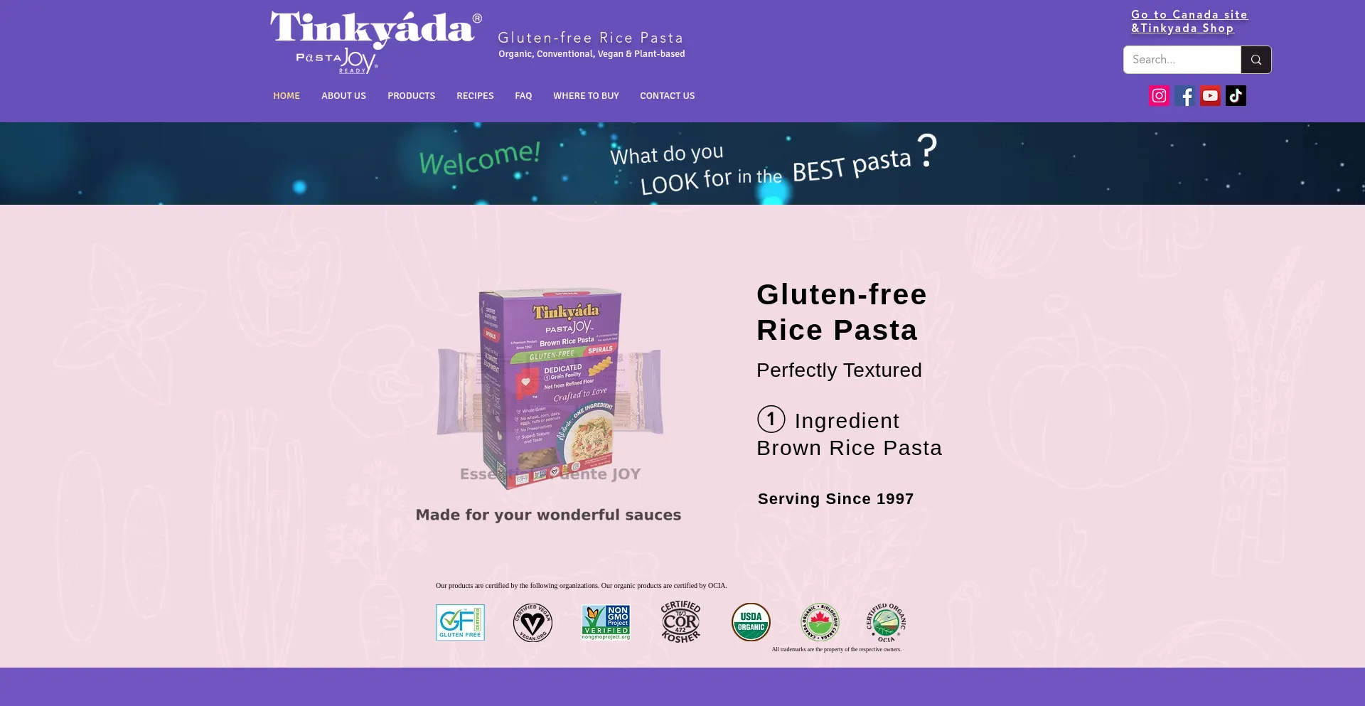 Website screenshot of Tinkyada.com