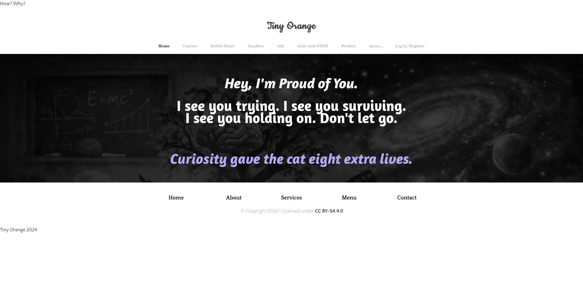 Tinyorange.co