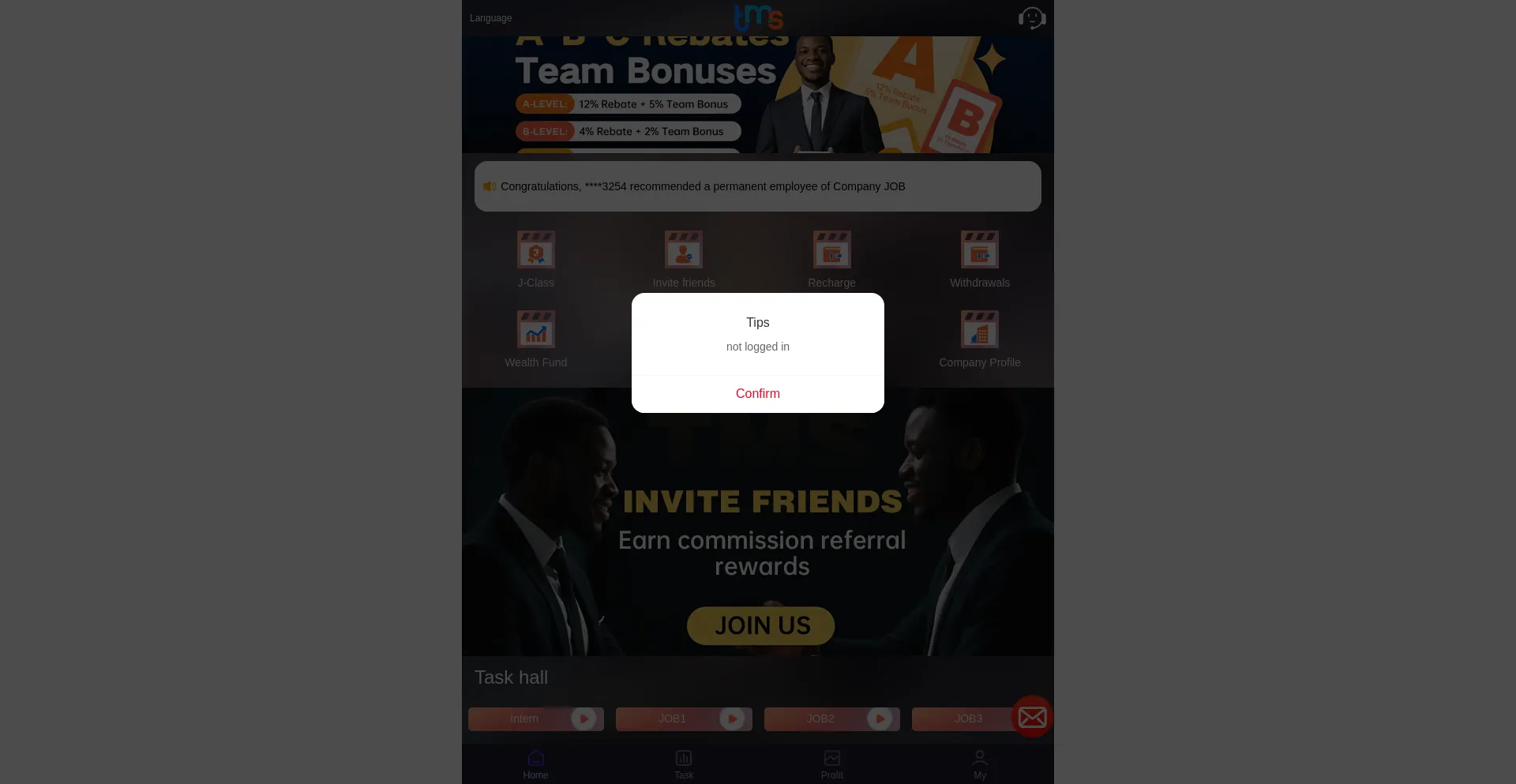 Website screenshot of Tmsgh.app