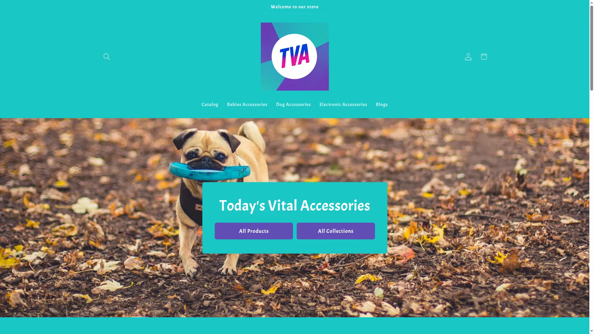 Todaysvitalaccessories.com