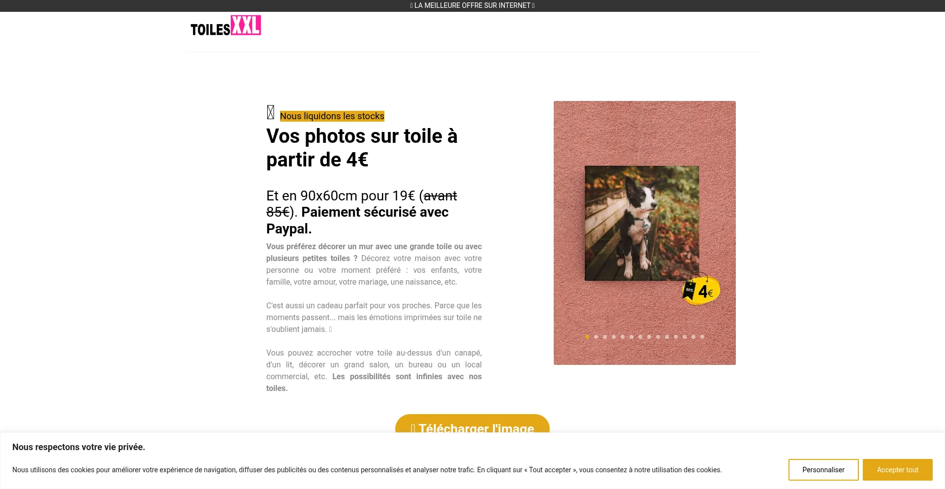Website screenshot of Toilesxxl.com