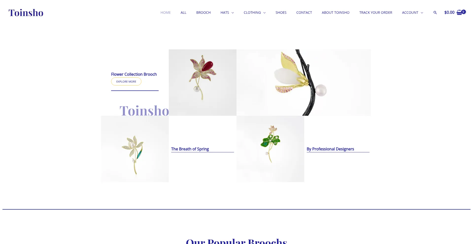Website screenshot of Toinsho.com