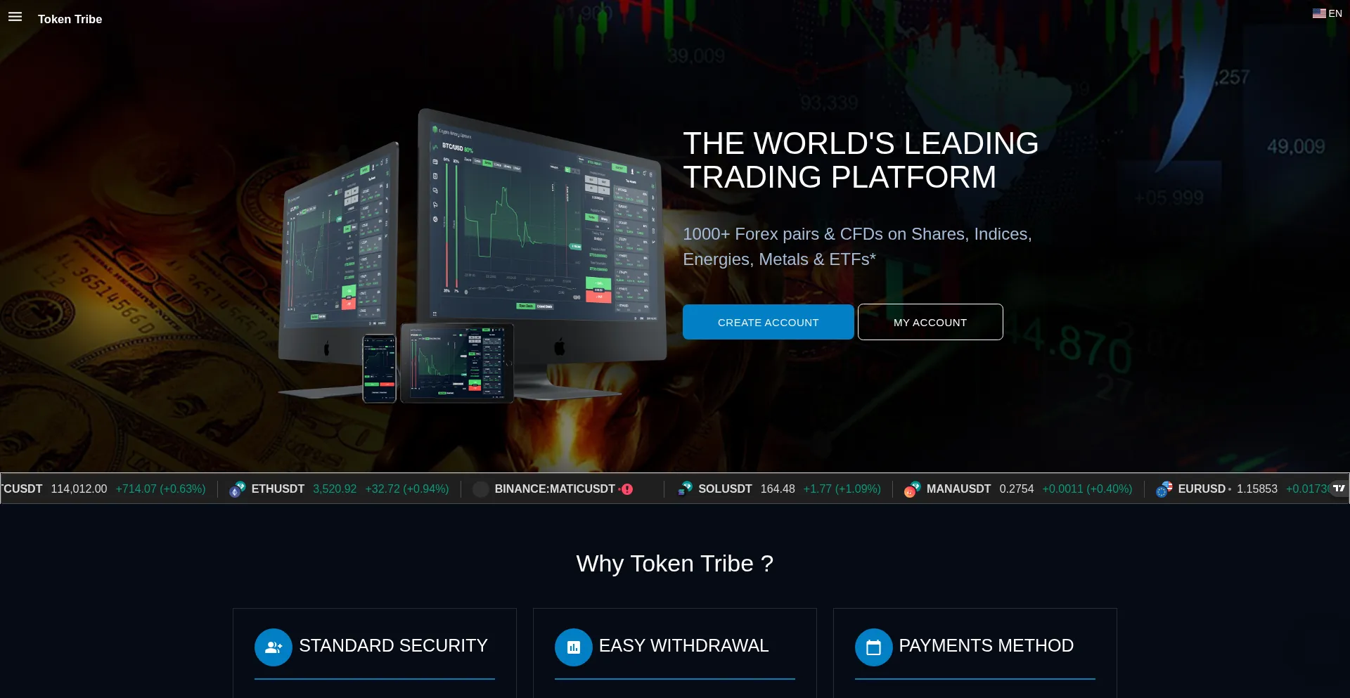 Website screenshot of Tokentribe.cc
