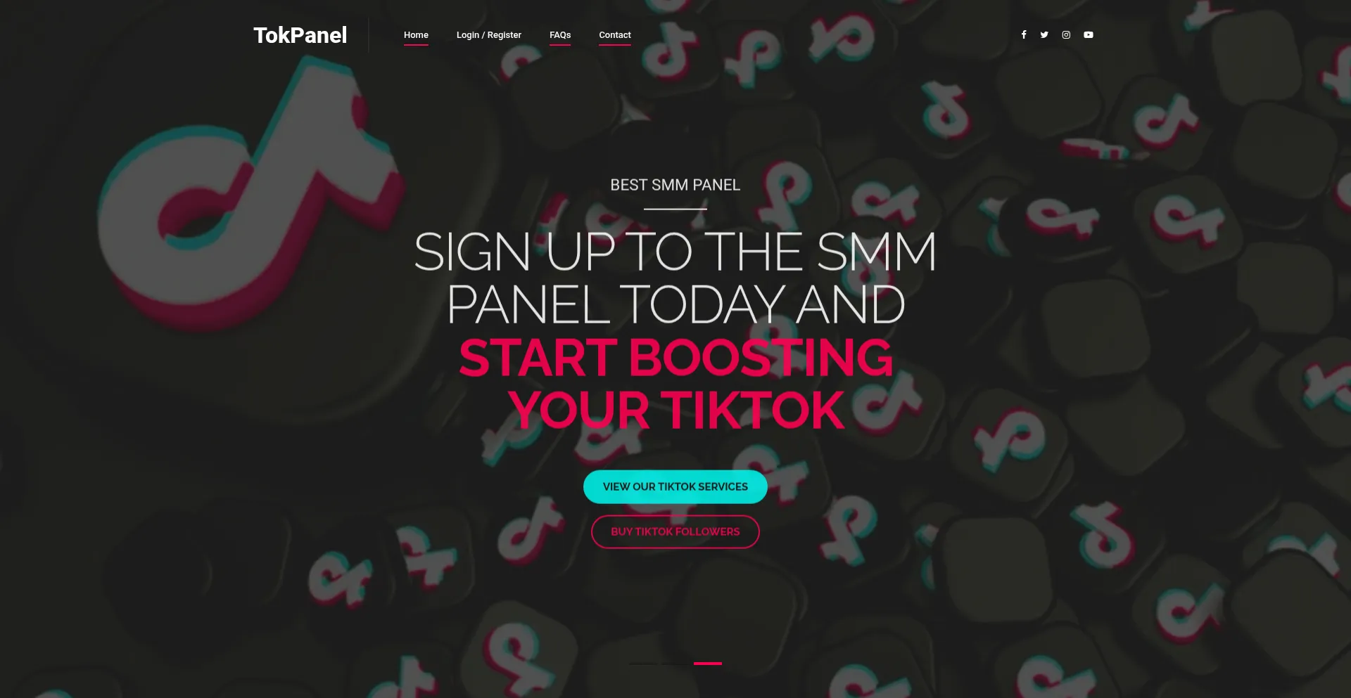 Website screenshot of Tokpanel.net