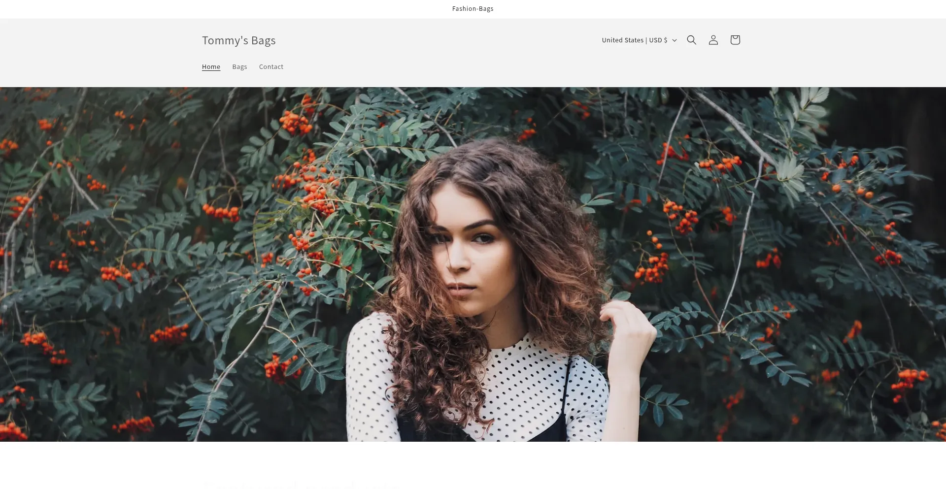 Website screenshot of Tommysbag.com