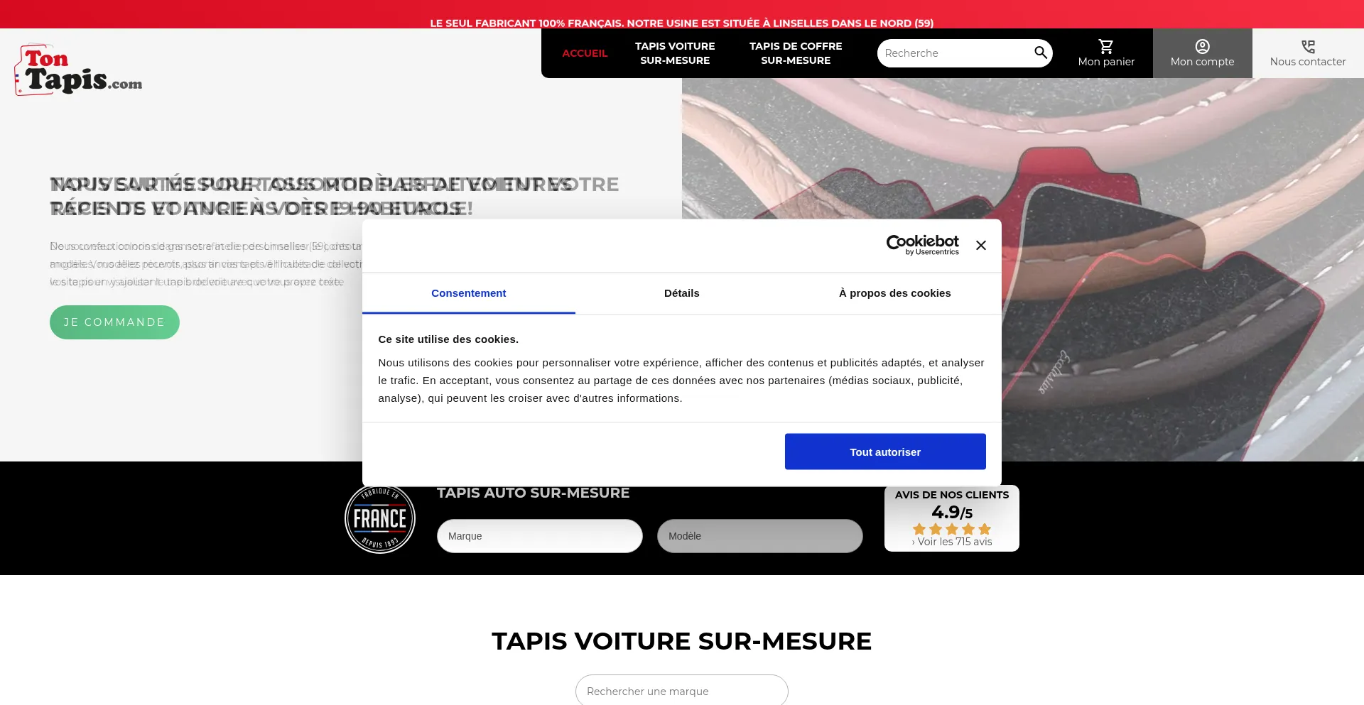 ¿És Seguro y Confiable Tontapis.com?