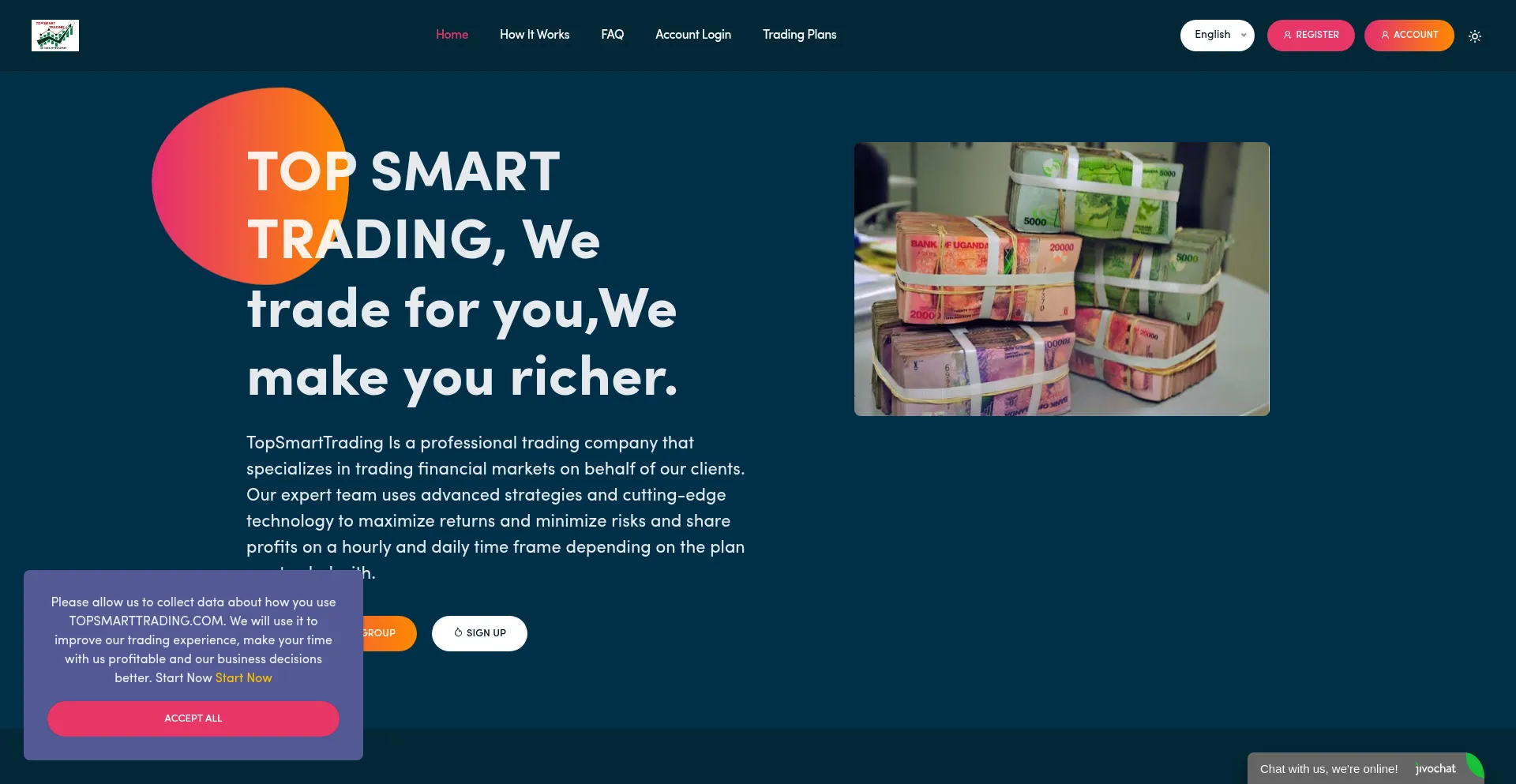 Website screenshot of Topsmarttrading.com