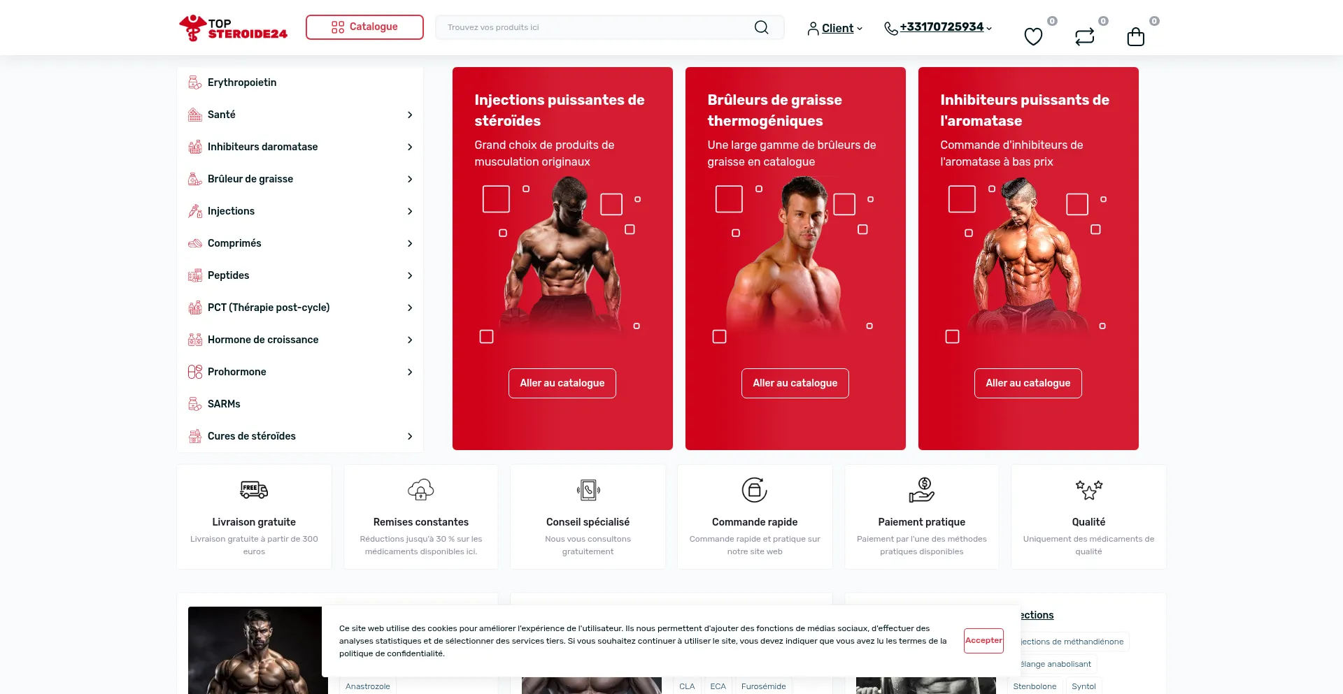 Website screenshot of Topsteroide24.com