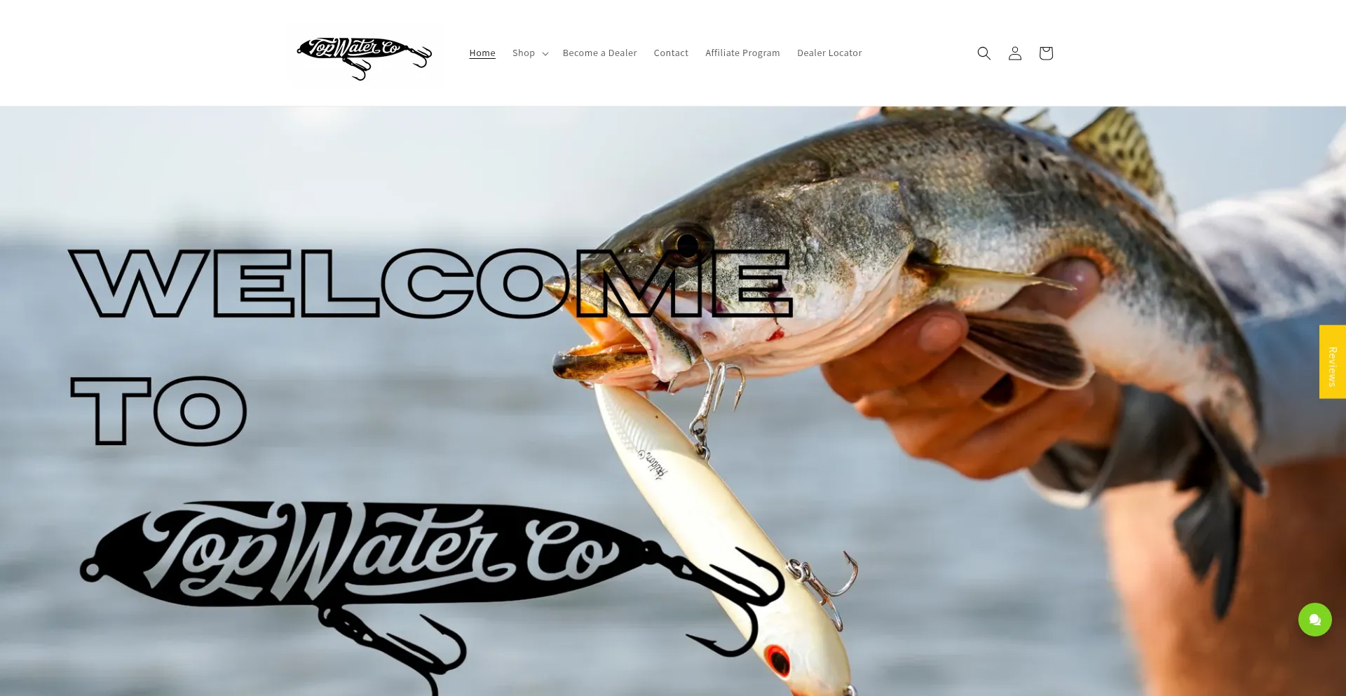 Website screenshot of Topwatercompany.com
