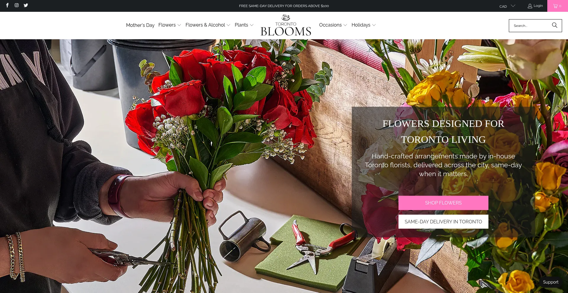 Torontoblooms.ca
