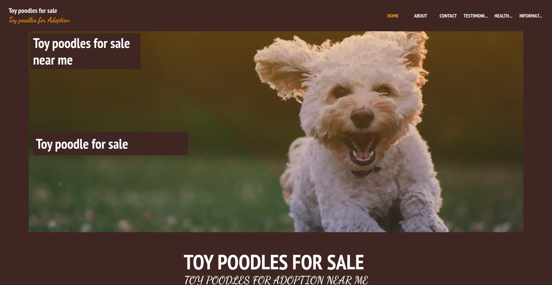 Toypoodle.homesteadcloud.com
