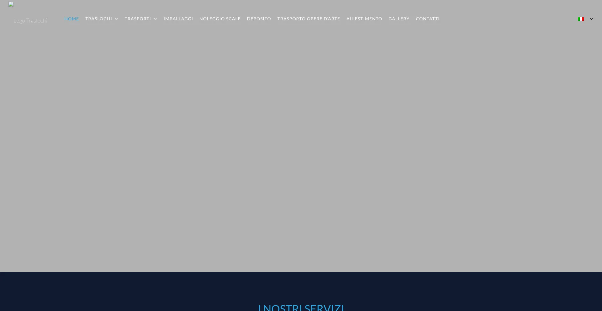Website screenshot of Traslochicdremovals.com