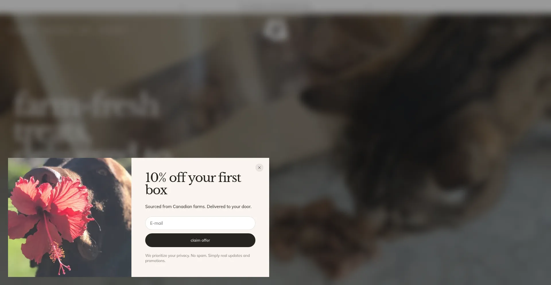 Treatosbox.com