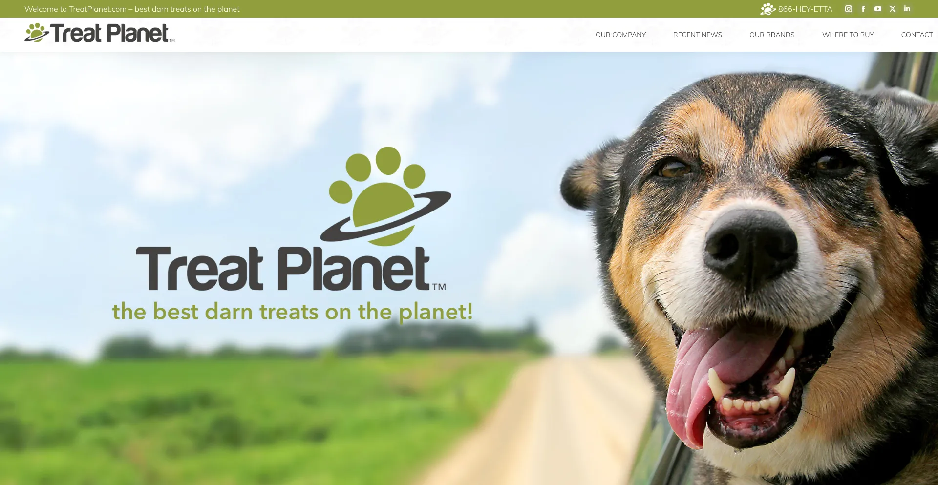 ¿És Seguro y Confiable Treatplanet.com?