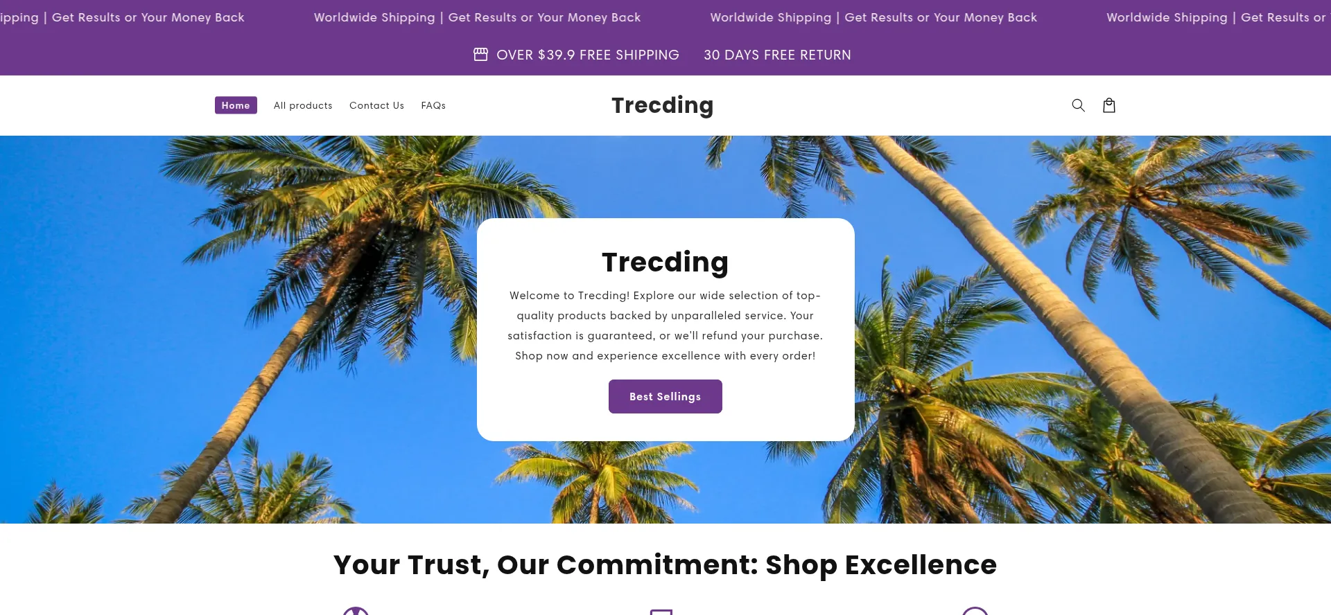 Website screenshot of Trecding.com