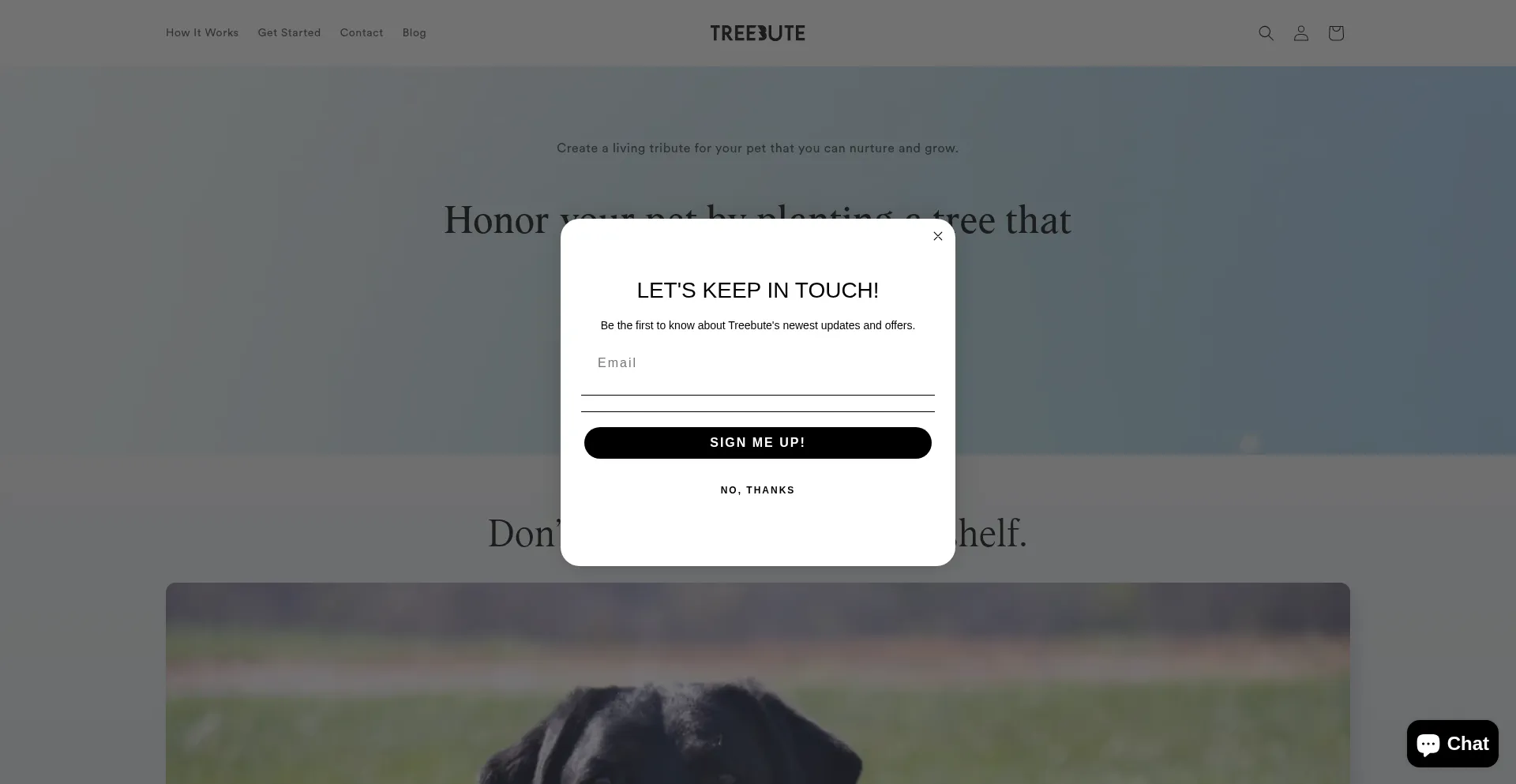 Website screenshot of Treebute.com