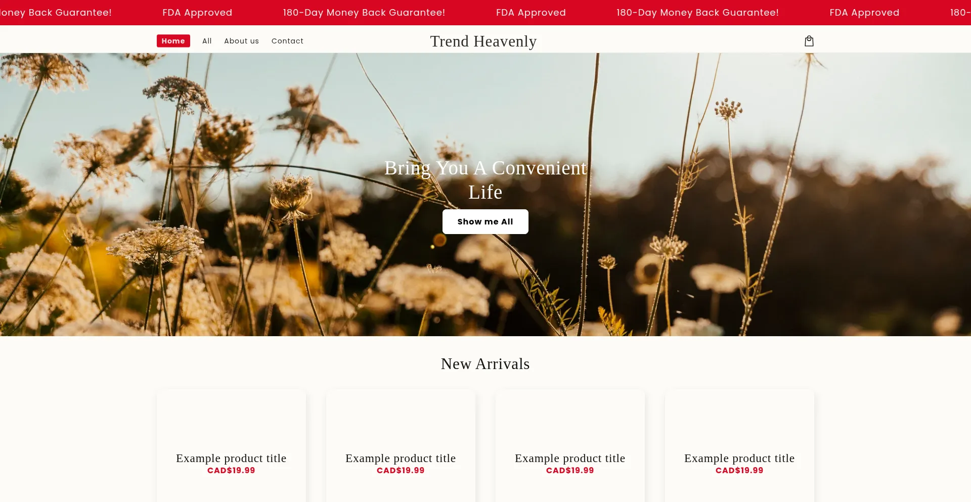 ¿És Seguro y Confiable Trendheavenly.com?