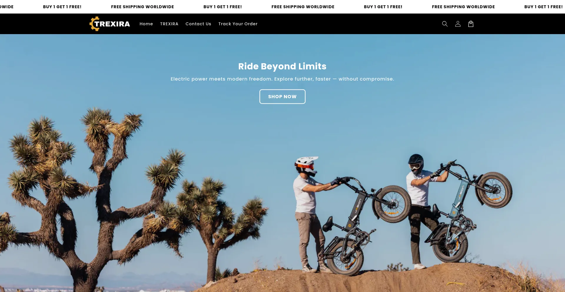 Website screenshot of Trexira.com