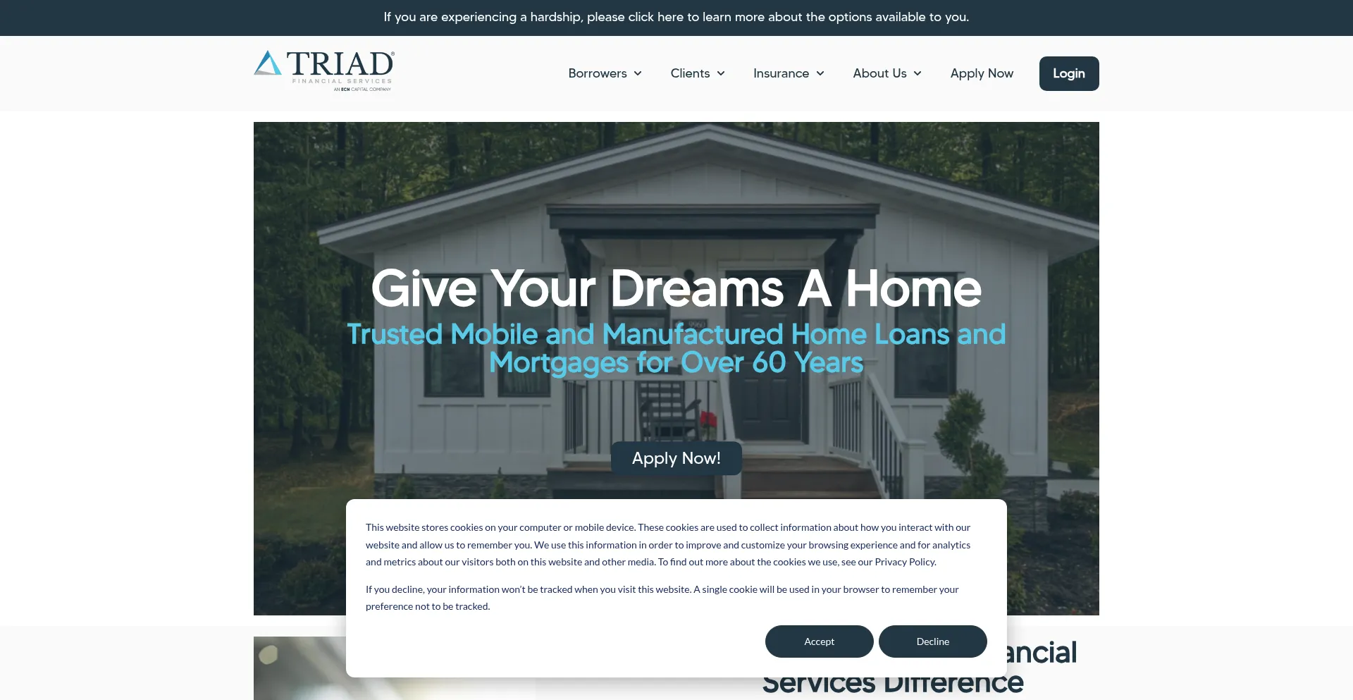 Website screenshot of Triadfs.com