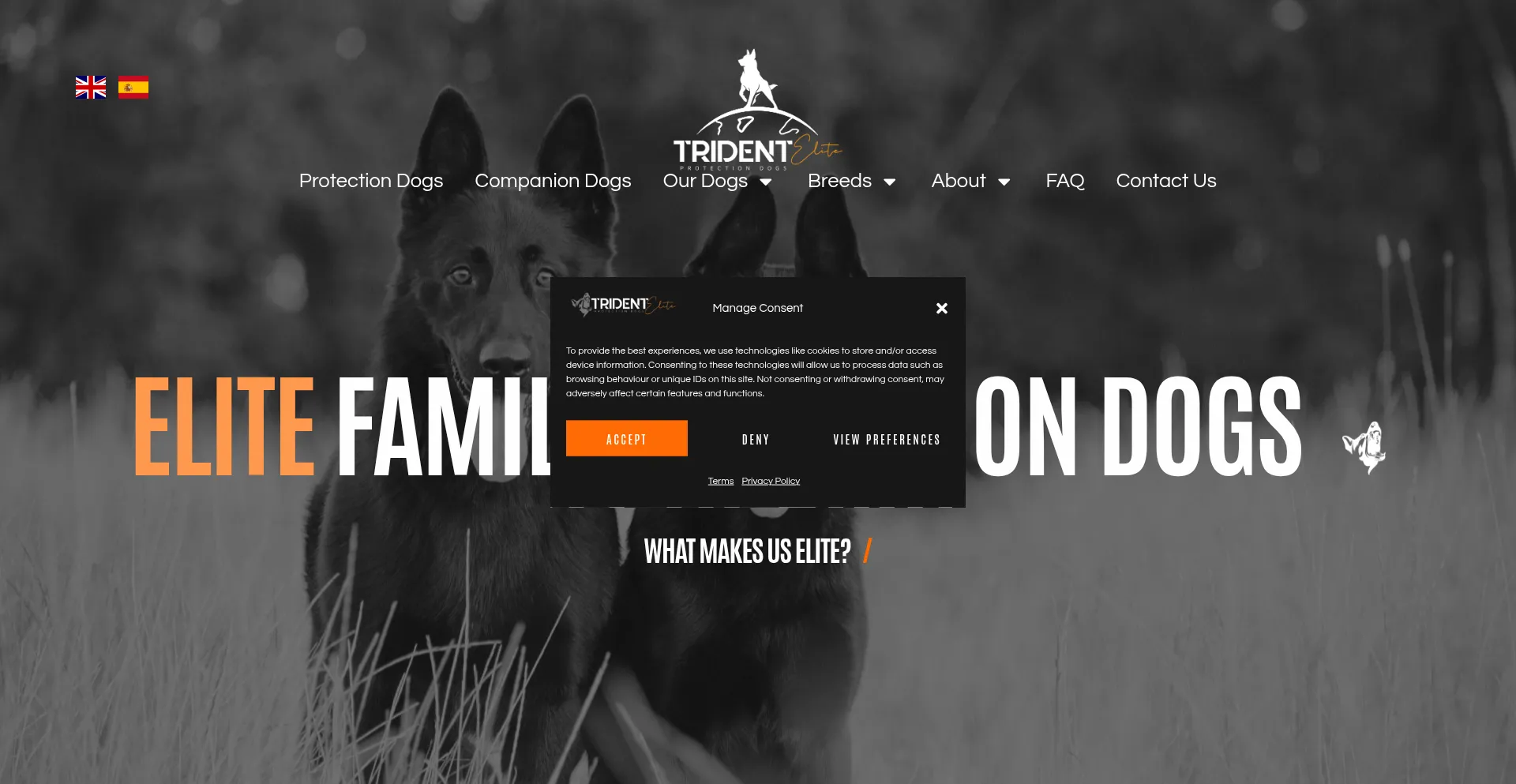 Tridentprotectiondogs.com