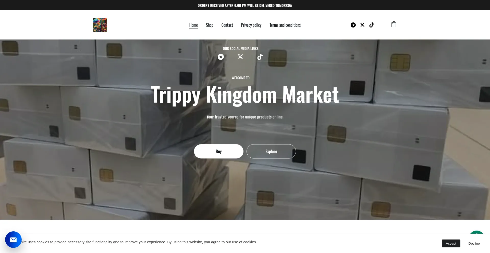 Website screenshot of Trippykingdommarket.shop