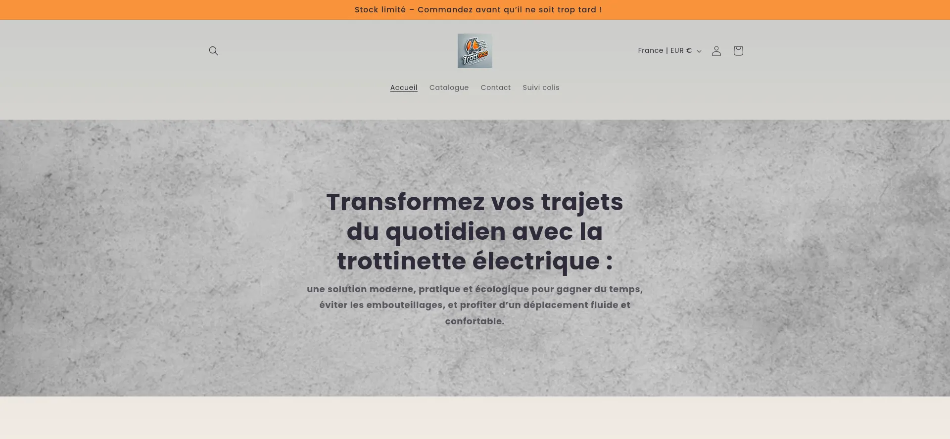 Website screenshot of Trottigoo.myshopify.com