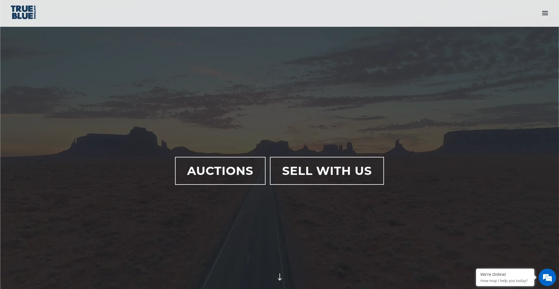 Website screenshot of Trueblueauctions.com