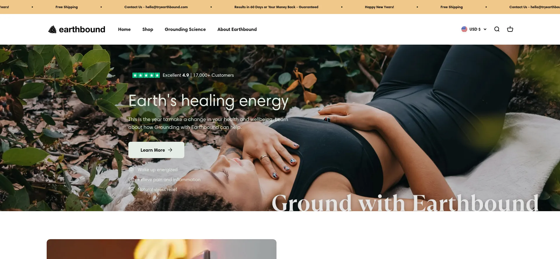Website screenshot of Tryearthbound.com