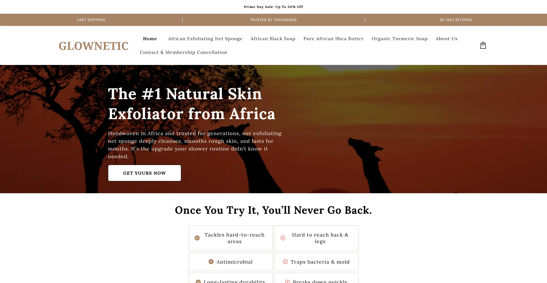 Website screenshot of Tryglownetic.com