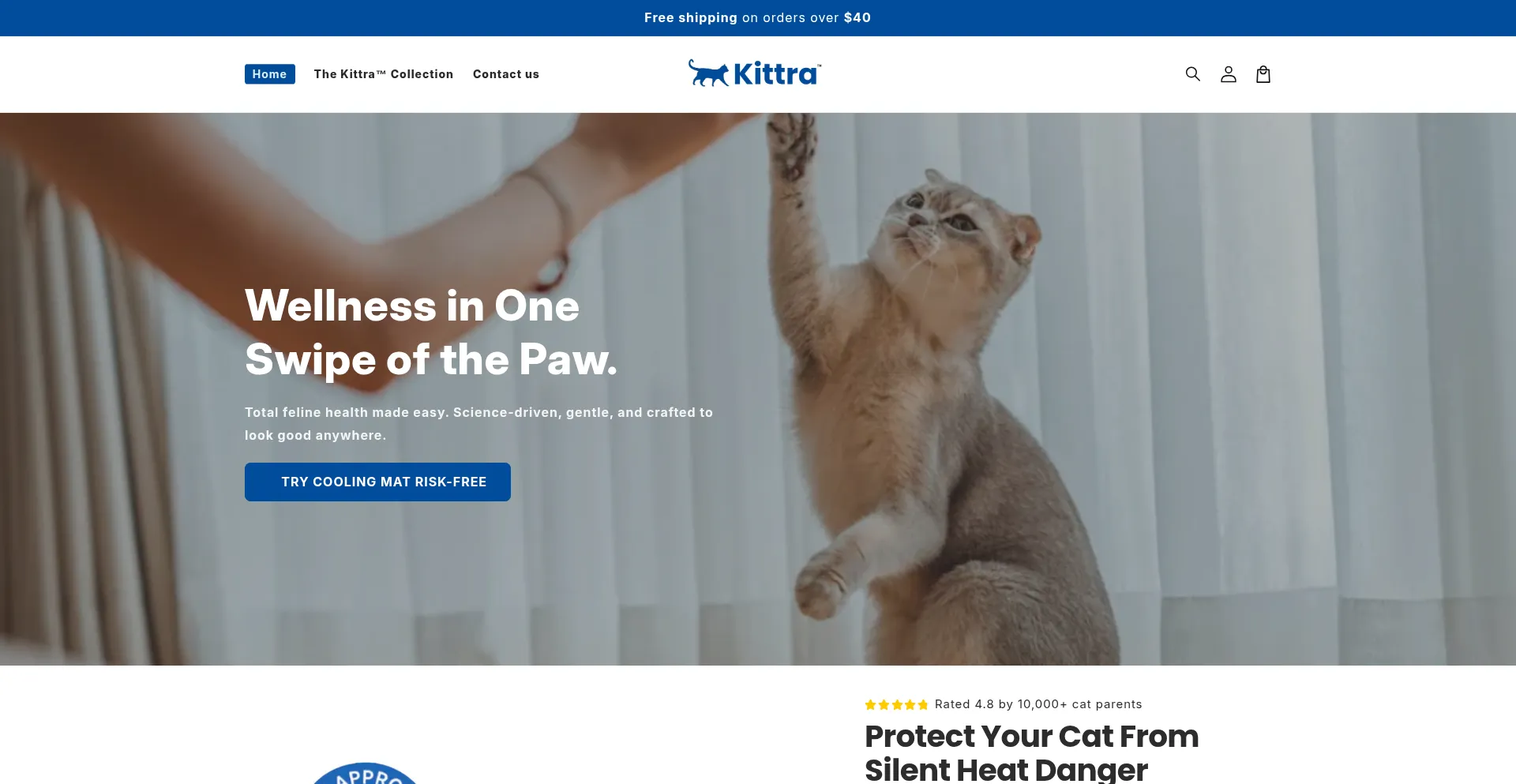 Website screenshot of Trykittra.com