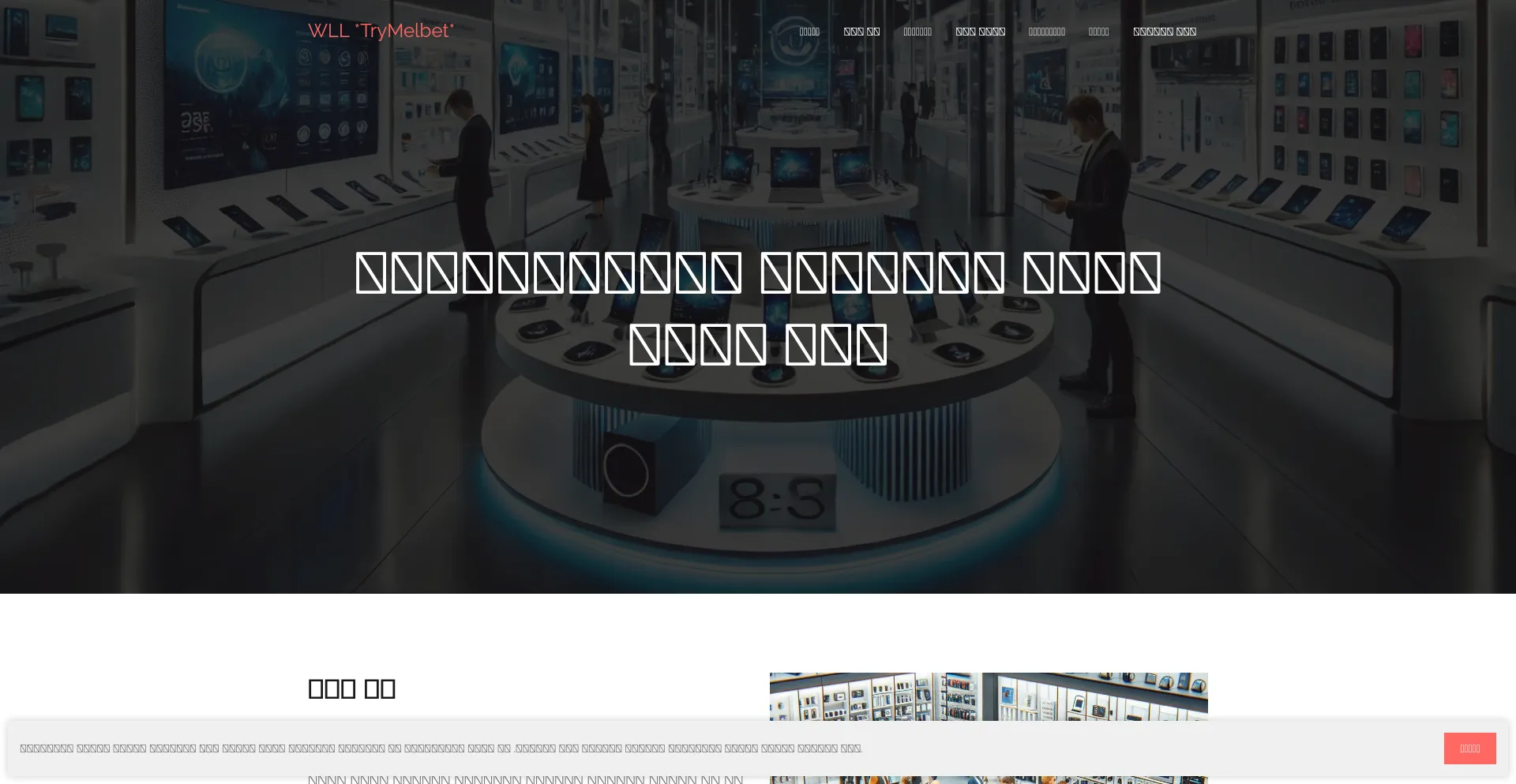 Website screenshot of Trymelbet.online