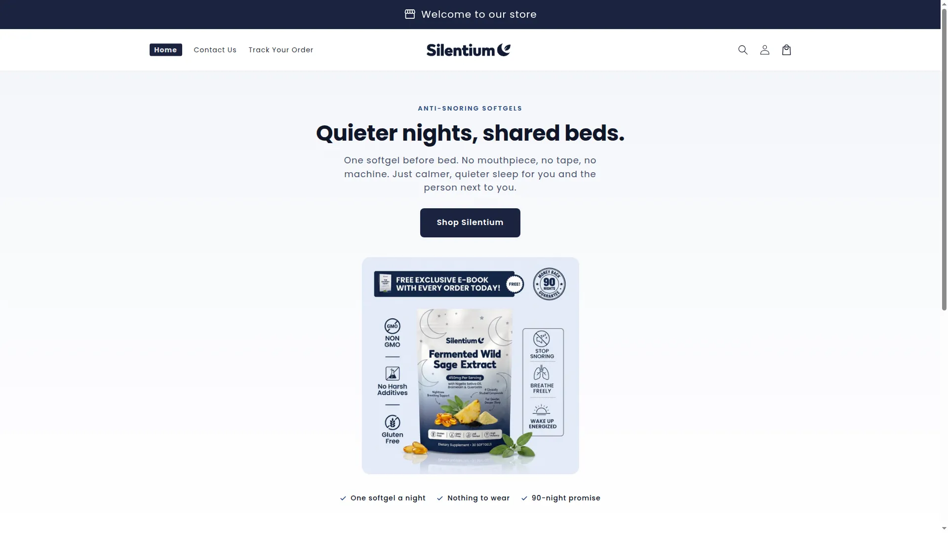 Trysilentium.com