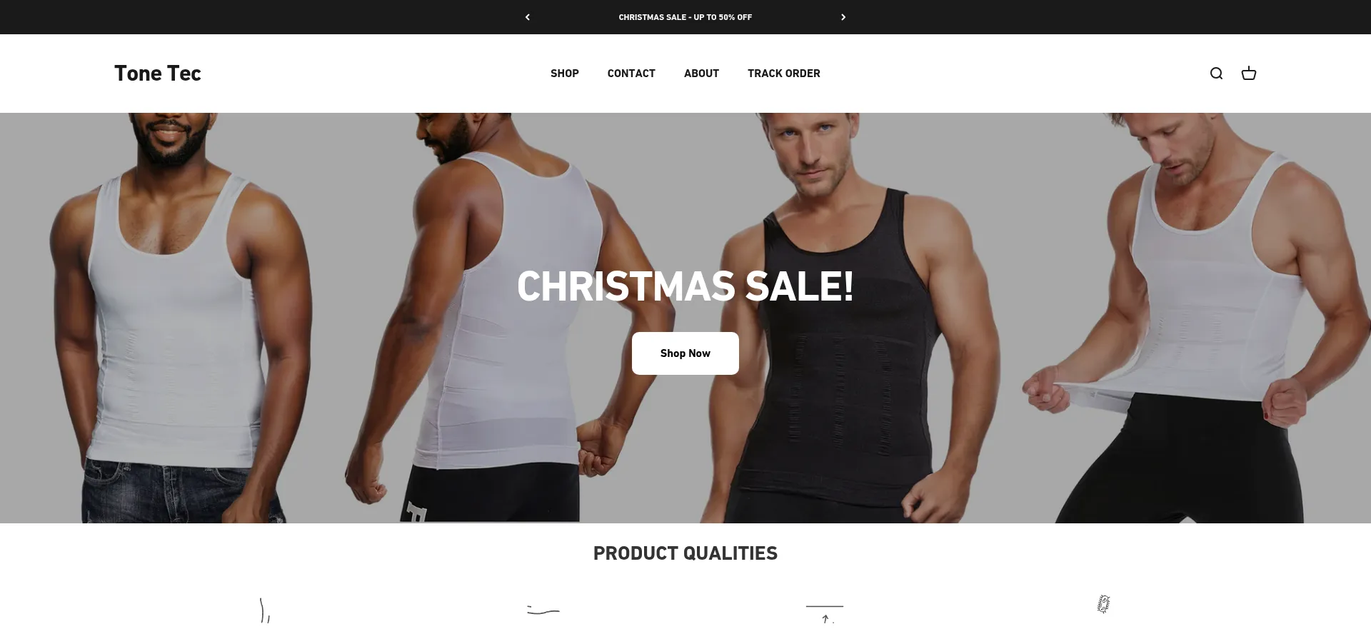 Website screenshot of Trytonetec.com