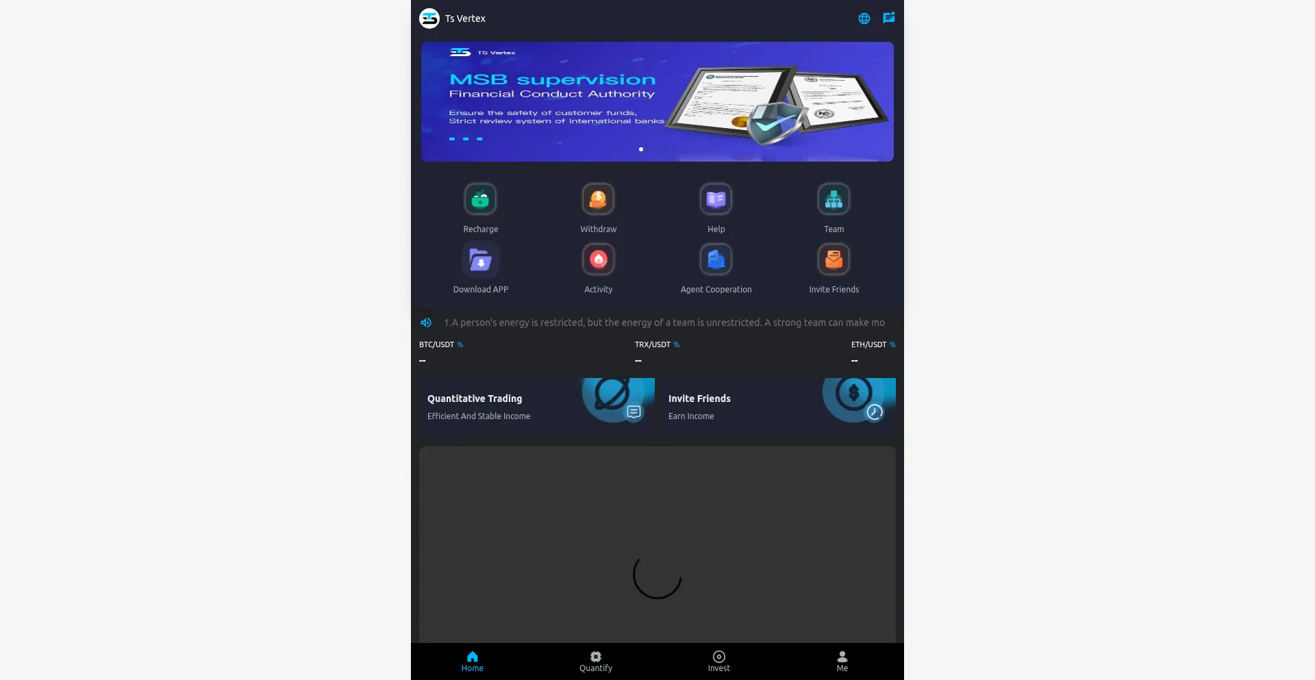 Website screenshot of Ts-vertex.com