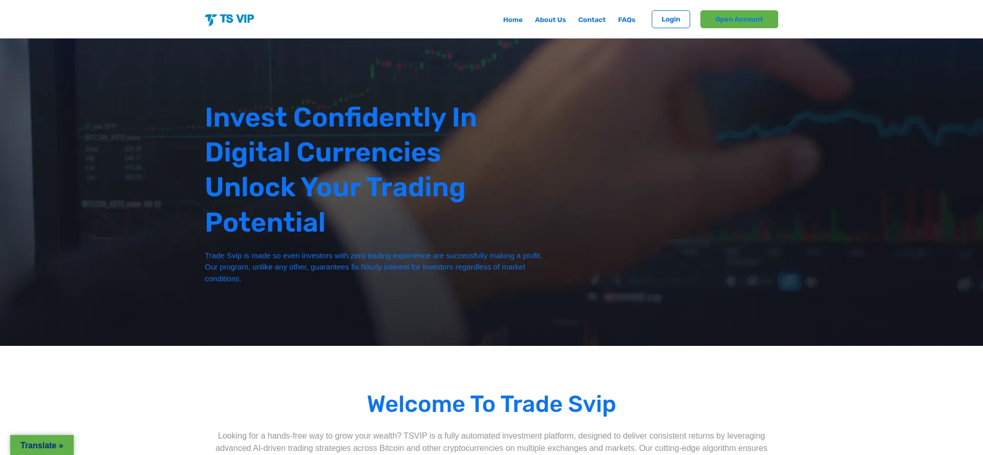 Website screenshot of Tsvipglobal.com