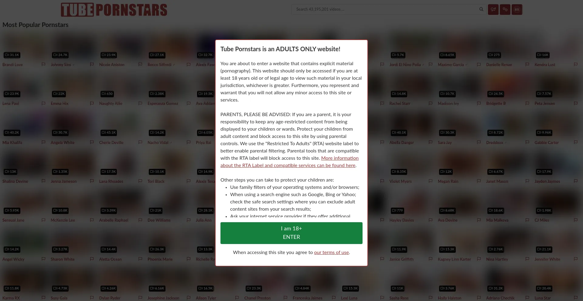 Website screenshot of Tubepornstars.com
