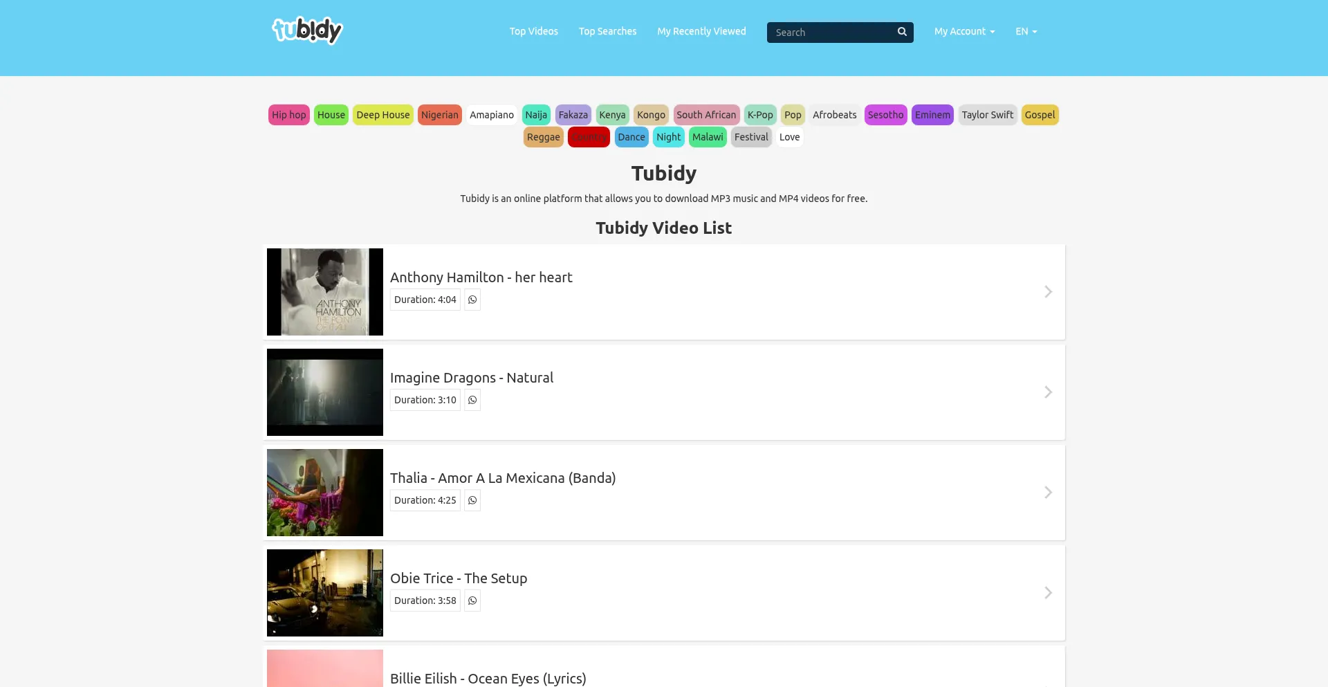 Tubidy.cool Screenshot