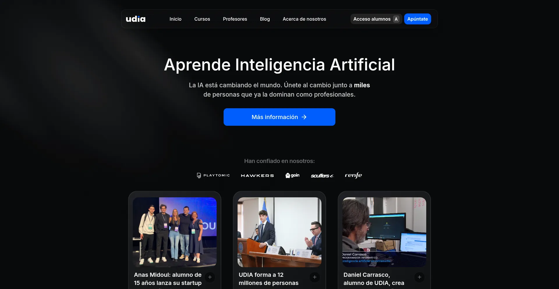 Website screenshot of Udia.es