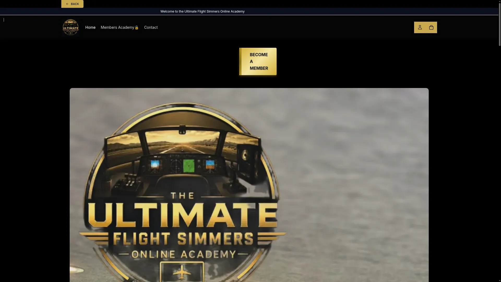 Ufsacademyonline.com