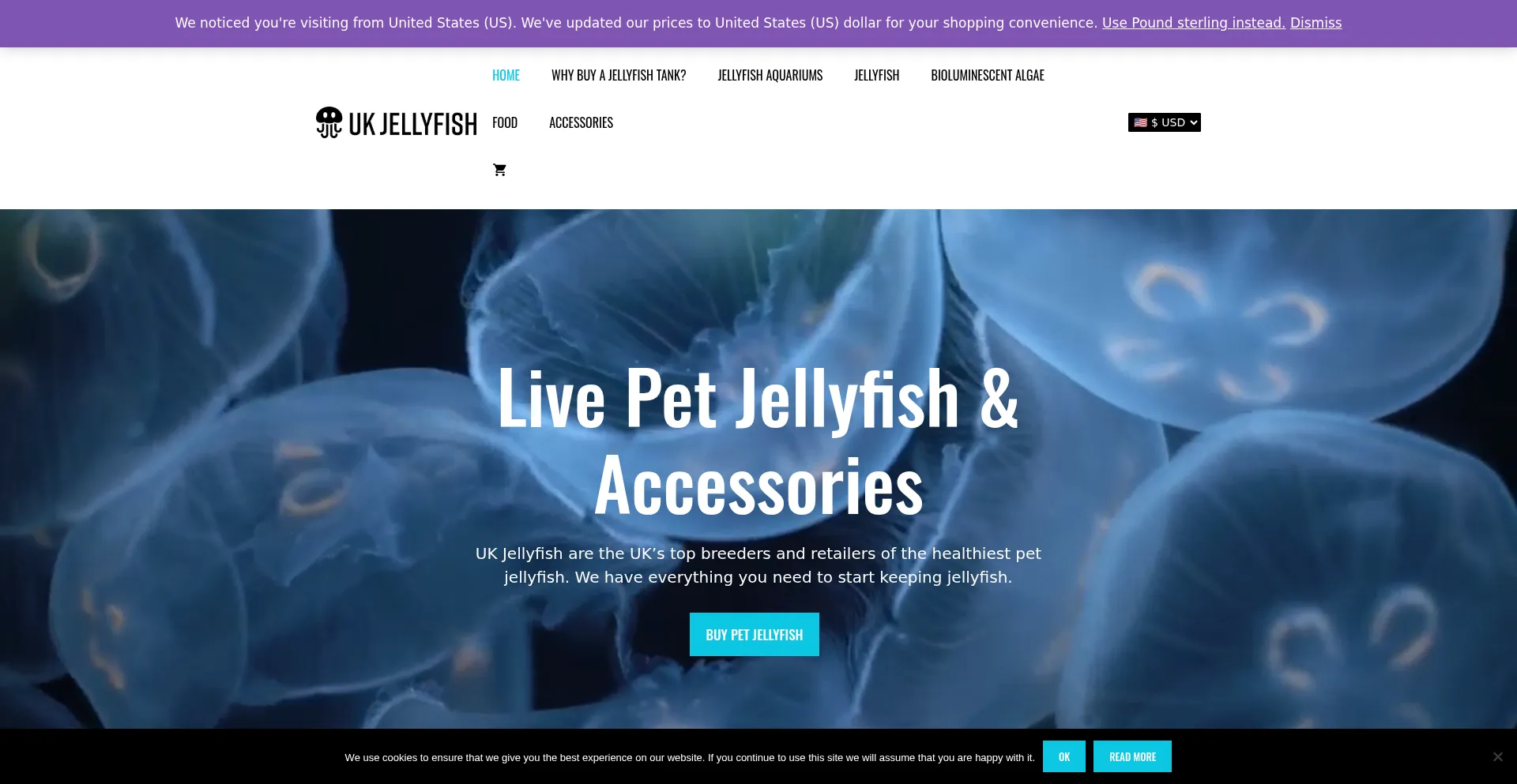 Ukjellyfish.co.uk