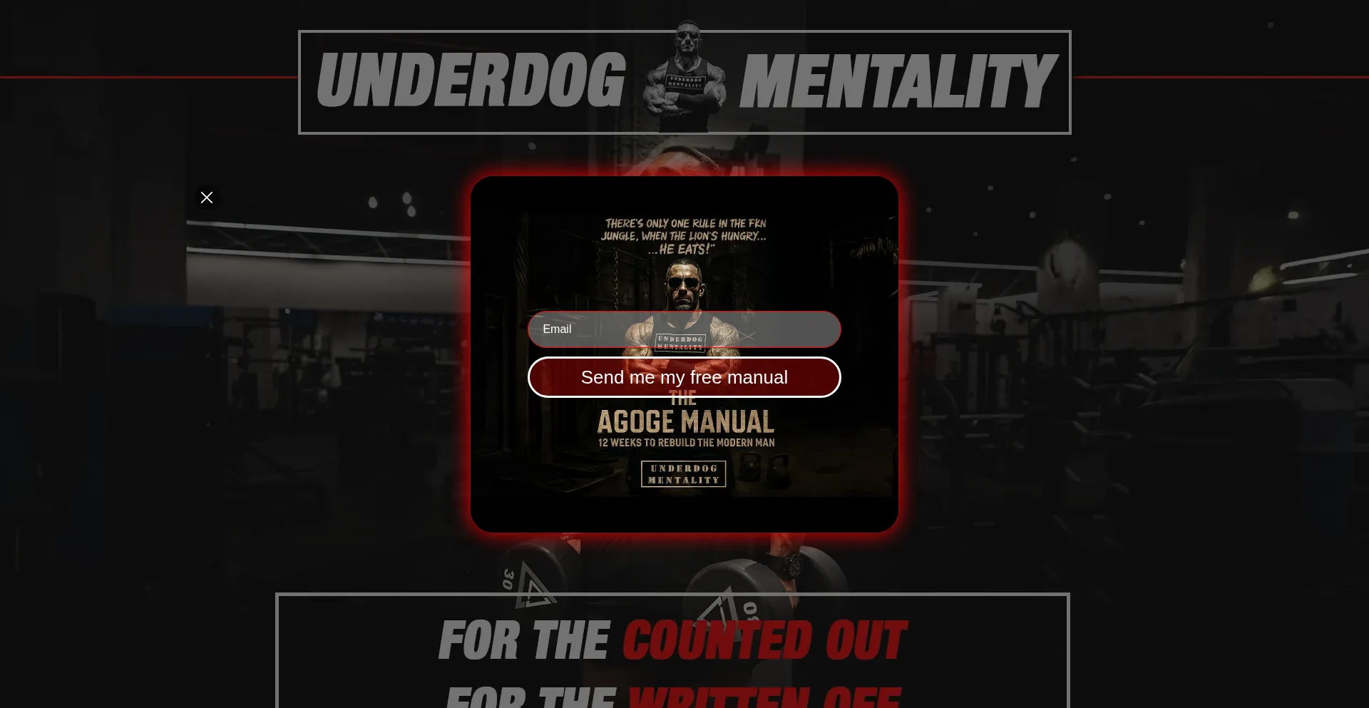 Website screenshot of Underdogmentality.store